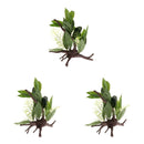 Set of 3 Reptile DecorationOrnament, Aquarium Decor Fish Tank Artificial Grass