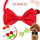 50Pcs Colorful Pet Dog Puppy Necktie Bow Tie Ties Collar Grooming Out Lot Gift
