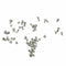 Full Screws Set Bottom Star Screw Kit Repair Bolt Inner Parts for iPhone5