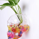 Skeleton Head Hanging Glass Hydroponic Flower Planter Vase Home Garden Decor