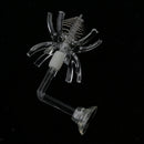 2pcs Feeding Basin for Dwarf Shrimps,Fish, Aquarium Invertebrates Clear Glass
