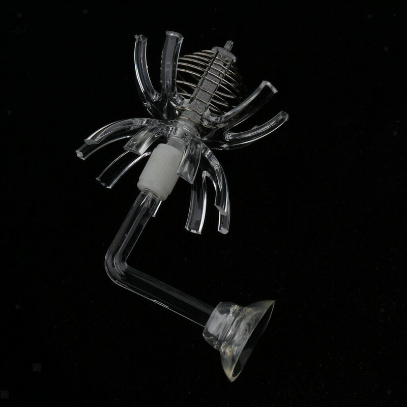 2pcs Feeding Basin for Dwarf Shrimps,Fish, Aquarium Invertebrates Clear Glass