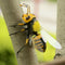 30x Bee Summer Insect Statue Tree Lawn Ornament Animal Sculpture Decor Gift