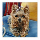 Dog Diy 5D Diamond Painting Embroidery Cross Stitch Handcrafts Kit Home DecoM9Z9