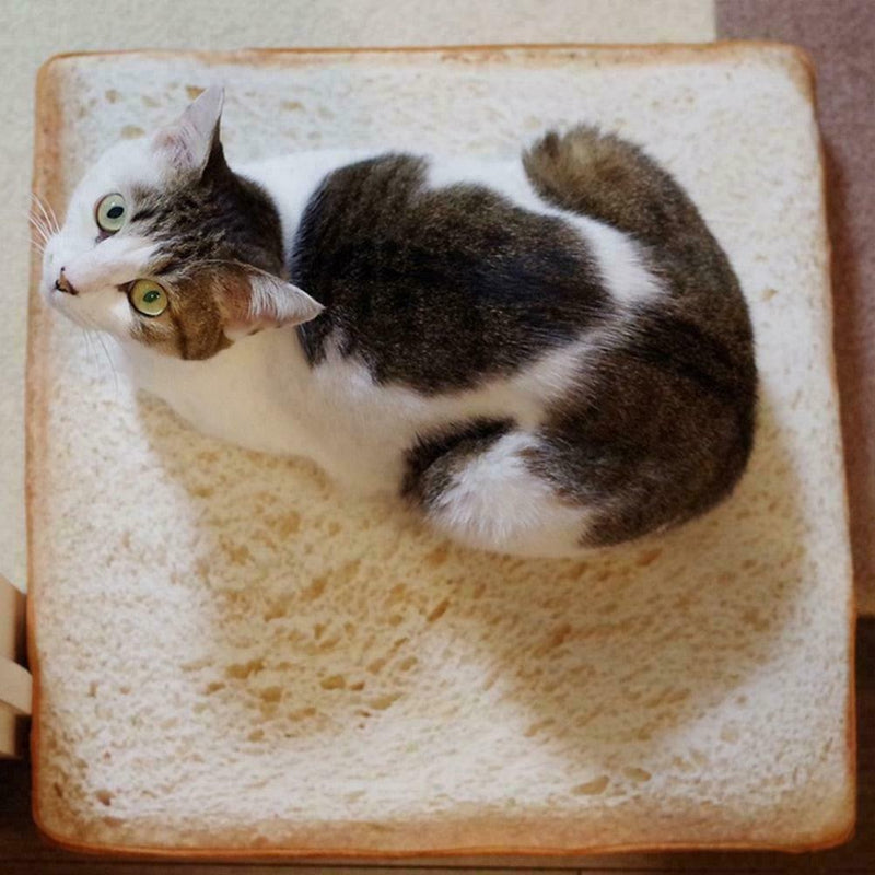 Cute Toast Bread Dog Cat Mat Pet Padded Bolster Puppy Bed Cushions Warm New V9E3