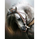 5D DIY Full Drill Square Diamond Painting Animals Cross Stitch Kits (C051)