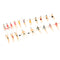 40x HO Gauge Painted 1:100 Peoples Passenger Set Scenery Landscape Decor
