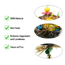 2Pcs Medium Bird Parrot Toys - Multicolored Tearing Toys for Conures Cockatiels