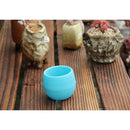 2x Succulent Pot Vase Herb Storage Box Cacti Plant Box Plant Container