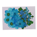 5 Kinds Flowers Natural Pressed Dried Flowers Pressed Leaves For Scrapbooking