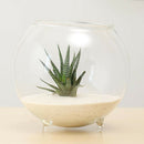 Ball Glass Flower Vases Micro Landscape DIY Terrarium Bottle Candle Holder S