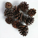 40pcs Mini Natural Dried Pine Cones for Xmas Tree Hanging Decors