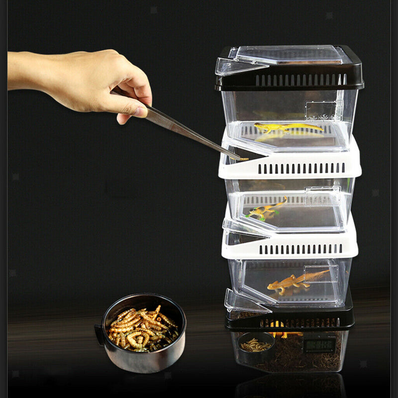 Aquarium Reptile Hatchery Breeding Box Turtle Lizard Spider Terrarium White