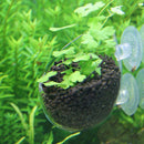 Fish Tank Mini Crystal Glass Pot Water Potted Aquatic Planting Cylinder Cup 3C