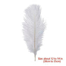 1Pcs DIY White Natural Ostrich Feathers Decoration Wedding Party Decor New R4S7