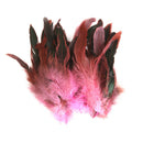 100Pcs Dyed Natural Chicken Rooster Feather Dress Hat Home Party Crafts