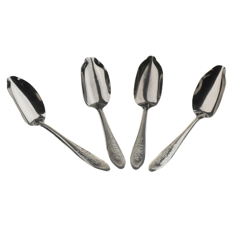 Pack Of 5 Stainless Steel Spoons For Parrot Milk For Pet Birds