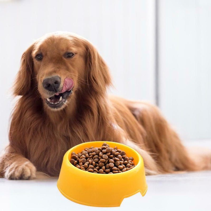 Candy Color Plastic Dog Light Single Bowl Water Food Cat Feeder Pet Supply A