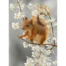 Pear flower And Squirrel Diy 5D Diamond Painting Full Drill Kit Home Decor P5P9