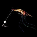 95Mm/6G Luminous Shrimp Fishing Lure Soft Bait With Hook (Red Head) B7V2