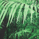 TaTropical Rain Forest Green Tapestry , Palm Trees And Exotic Plants in