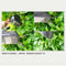 2 Pocket Succulent Planter Wall Hanging Vertical Flower Pot Home/Garden Ind