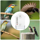 Transparent PVC With Thermometer Home Pet Supplies Practical Window Bird Feeder
