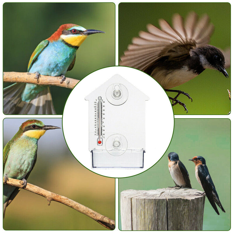 Transparent PVC With Thermometer Home Pet Supplies Practical Window Bird Feeder