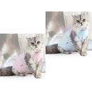 2x Professional Recovery Suit for Cats & Dogs Protect Wounds and Skin
