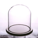 Glass Display Bell Jar Dome Cloche With Bamboo Base Decorative Desk Stand S
