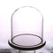 Glass Display Bell Jar Dome Cloche With Bamboo Base Decorative Desk Stand S