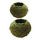 2 Packs 9cm & 18cm Green Moss Ball Decorative Flowers Planters Trays Lanterns