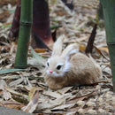 15Cm Mini Realistic Cute Plush Rabbits Fur Lifelike Animal Easter Bunny Sim P3T6