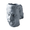 Face Plant Novelty Planter That Holds Plants Flower Grey
