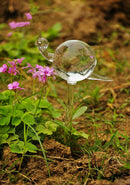 3Pcs Glass Watering Device Garden Care