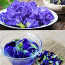 100% Thai Dried Butterfly Pea Flower Pure Organic-Natural Herbal Blue-Drink-