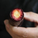 500pcs x pare purple carrot seeds organic vegetable fruit plant garden seeds SP