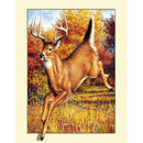 5D DIY Antelope Embroidery Diamond Painting Craft Cross Stitch Home Decor