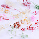 Fashion Mixed Dried Flowers Nail Art DIY Women Girl Decor Flower Manicure Crafts