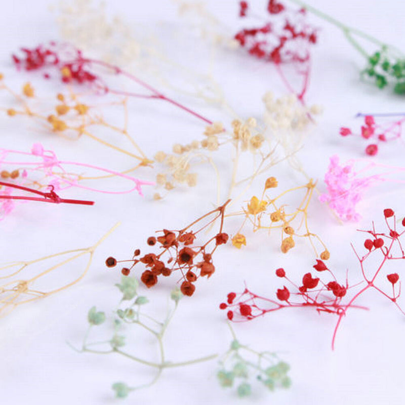 Fashion Mixed Dried Flowers Nail Art DIY Women Girl Decor Flower Manicure Crafts
