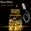2M 20 LED Copper Wire String Fairy Light Battery Powered Warm For Xmas DIY SS325