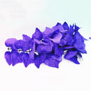 4x Artificial Leaves Cane Aquarium Tank Decor