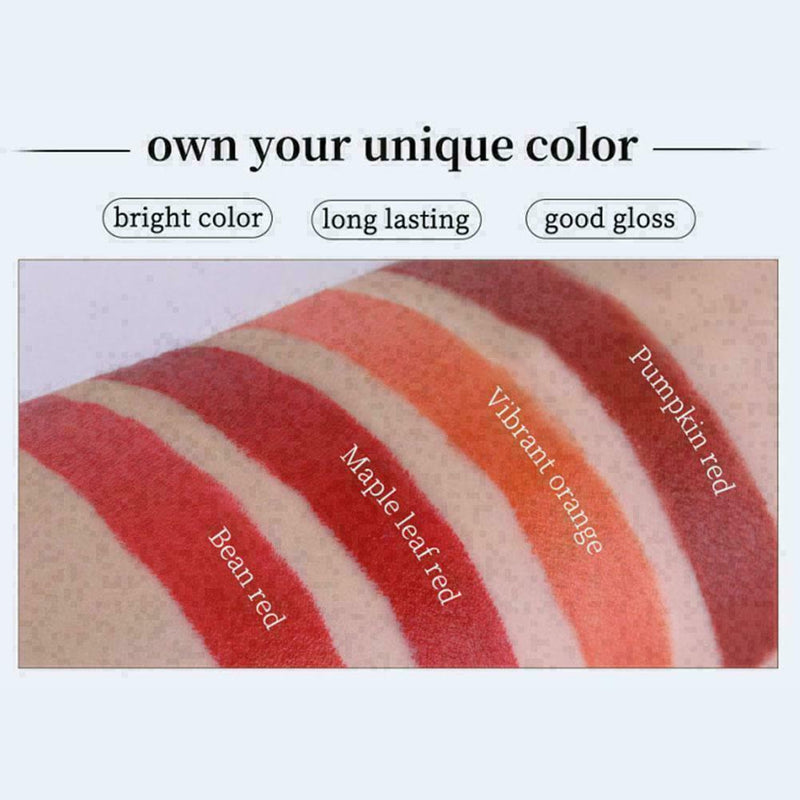 Matte Lipstick Set 4 Colors Waterproof Long Lasting Lipstick S9X4 N7I2 B3A9