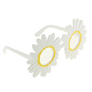 Cute Daisy Flower Glasses Spectacles Christmas Party Fancy Dress Eyeglasses