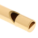 Dog Parrot Training Whistles High Pitch Survival w/ Keychain for Camping Hiking