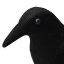 Garden Flocked Hard Plastic Black Crow Hunting Decoy Raven Halloween Prop