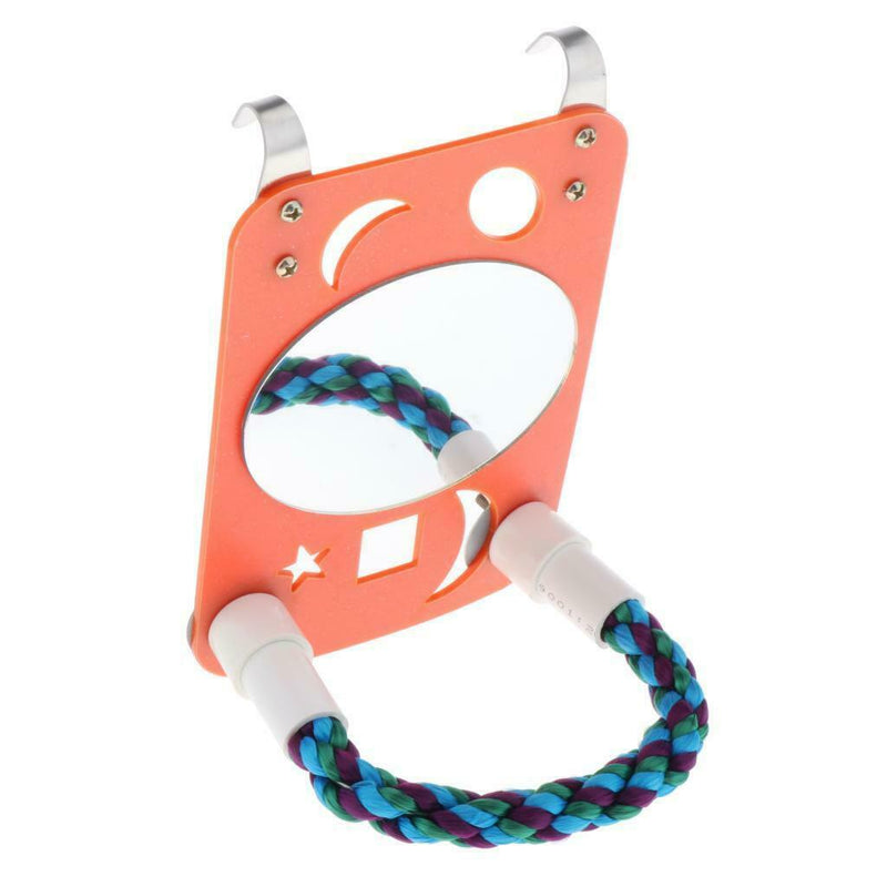 Parrot Large Mirror with Rope Perch Swing Toys for Greys Budgies Cockatoo