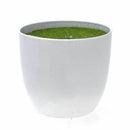 Mini  pine - Artificial topiary mini tree with melamine pot for deco E3I8