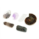 6x Mixed Natural Quartz Crystal Fossils Mineral Reiki Healing Specimen Gemstones
