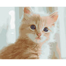 Painting By Numbers Kit DIY Silly Cat Hand Painted Canvas Oil Art Picture